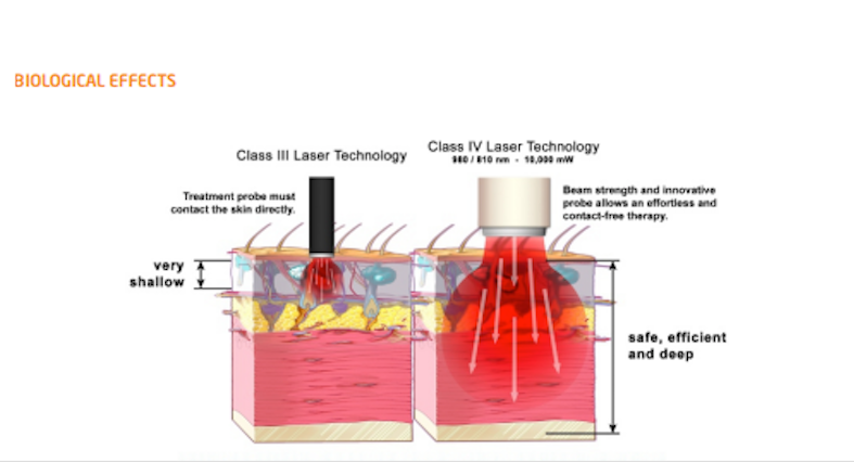 Biological Effects Diagram